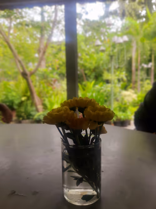 Item #86460548825896395183188707427462696963522650148758793724109723177970967773185 Media