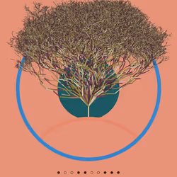 74168867016011539093366687608765447348507224284888477074887989122841876365313