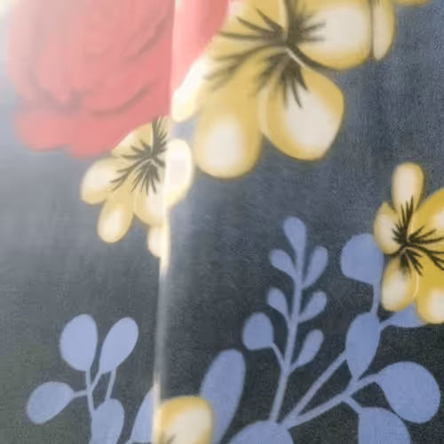 Untitled Collection #48720346