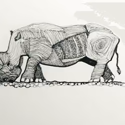 Road rhino v2