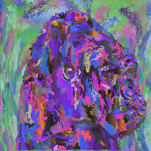 Item #30954876373054811878538729185732042057741939841186375746214961367705572081665 Media