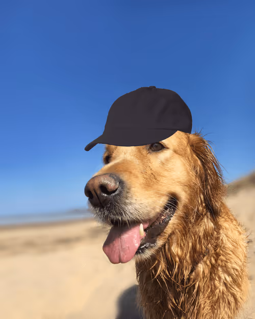 Item #26839399415497039076862880694069072006331525189107682525417321679631482355713 Media