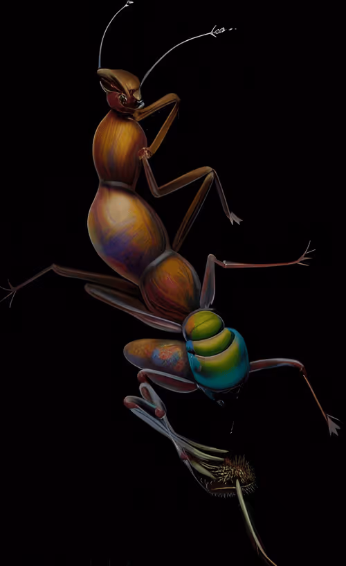 Item #79787343889813582877510155558909016850160649261811296348419943771406436663297 Media