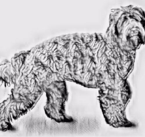 Item #23143313246472061328071561115701105421589606567298838424350448131345383161857 Media