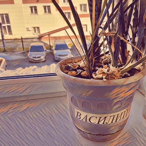 Item #82025285551670311076607062028198416568711388402095174480929433417030190497793 Media