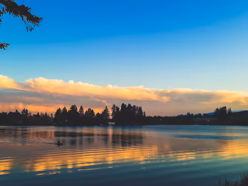 Item #93733275809308755757503475852575142382526812596278702282935670388903785791489 Media