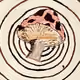 87007761646812601486718212504892455826089900617842195618349226125322652483585