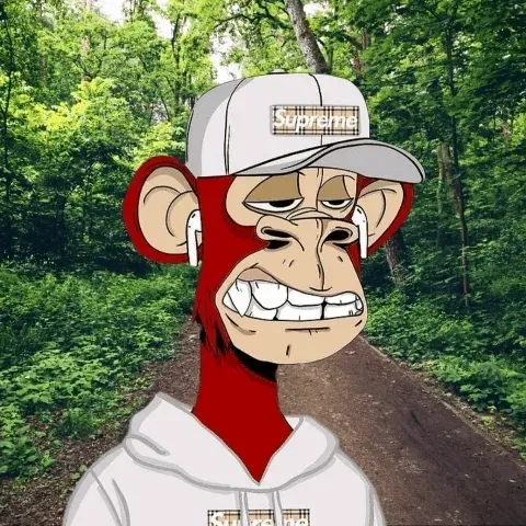 Item #109066165228494868984123658993937284509999328721461692091369406532546000324060 Media