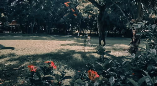 Item #66869618967602468746282682134224071188176977612925683750595185225403430076417 Media