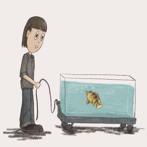 17410155274538261115310363738029844453508477623446025113189669026168746016769