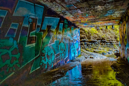 Item #86553233827924247046573392595556901438737658506996576632296572133493184659457 Media