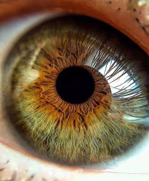 Item #39629935389522237345664437028542438492977381533873015043488418148685885472775 Media