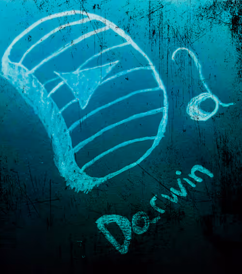 Item #108485984571547763915638911530400574497135662005410643450210329840333514342401 Media