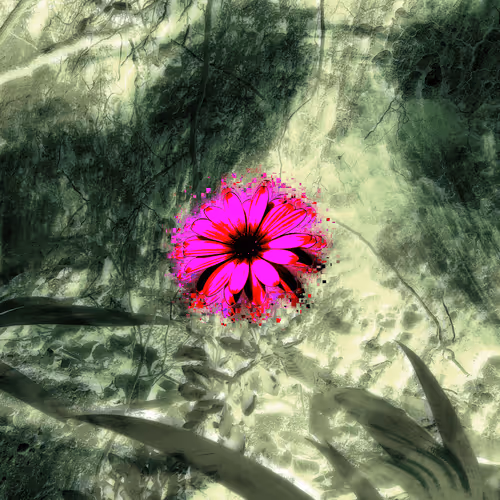 Item #70567072538775663470858565359624748958279793272729193393473071485194814357534 Media