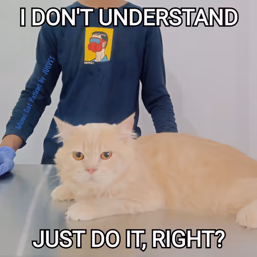 Item #66477539835856069096883734032497373162095528014310058326281939872284057534465 Media