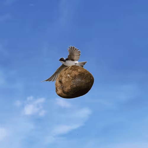 Item #60317658512676919360664880531646187373637843327824457158421647016110273331205 Media
