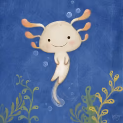 Axolotl #009