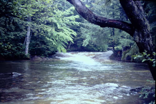 Item #113047771030127017240919341709485116586684509374101894410877815029391136129025 Media