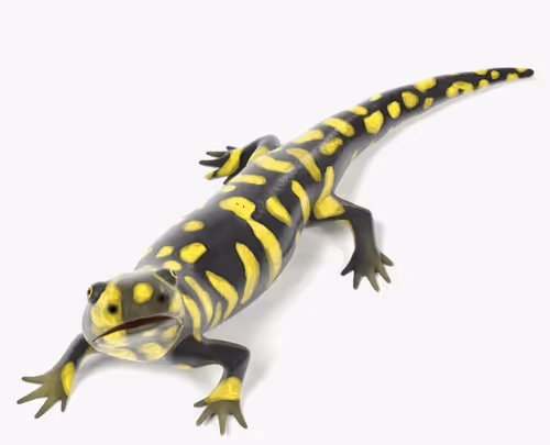 Item #94993649910068901093152393184859934113931650439024023181205080193316893491210 Media