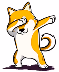 DABB DOGE BALANCING