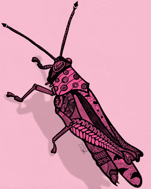 Item #2141876490357759120430650073325956874644020844603919275595865713731675619329 Media