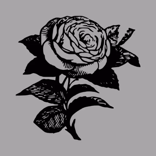 Item #11345277294321805490950982682706921649721953038596019142075108513679736307713 Media