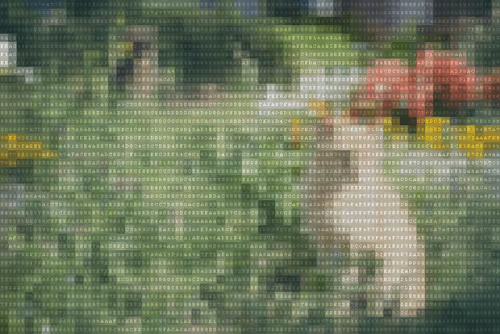 Item #42068797716410794441673818028906966983709773794911645619704857588840127266866 Media