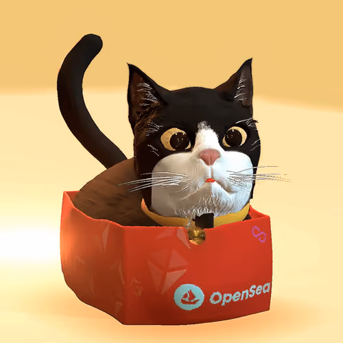 boxcat#15