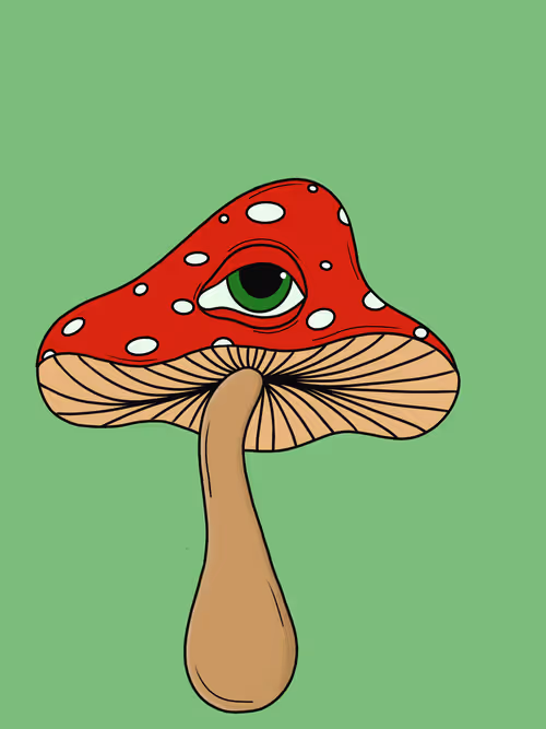 Item #46882009080235521998465650117471577430659606879218658620080168245969572331521 Media