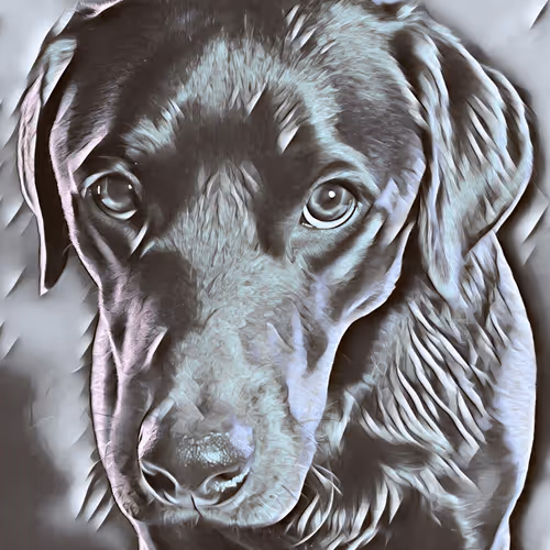 Item #96040271613649924366794763060242908357984568107868468214503665958337212579850 Media