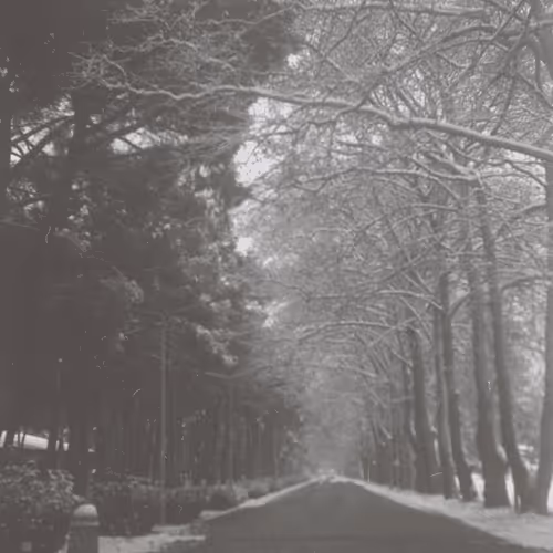 Item #26240500746670689107494502172529202966173513927234395913133241701860848435201 Media