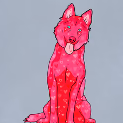 Valentine's Husky