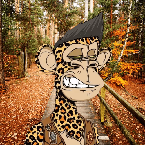 Item #109066165228494868984123658993937284509999328721461692091369406499560651489290 Media