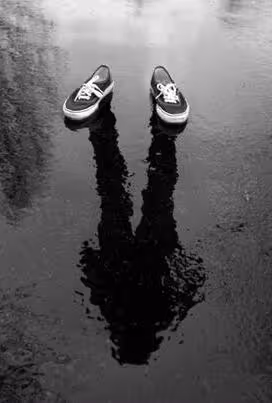 Item #59053868084640741177413485041160937155001121877833073136808665052941087932417 Media