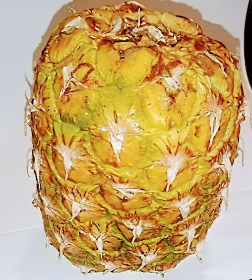 Item #62641140096771171020235501747657074181570524460748477311370682211474648072193 Media