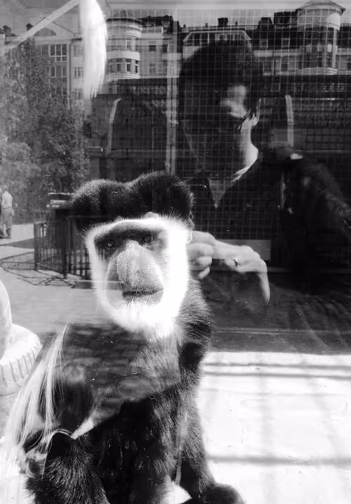 Item #48582175902660253739567181783807763023013925201969392418370611532405663596545 Media