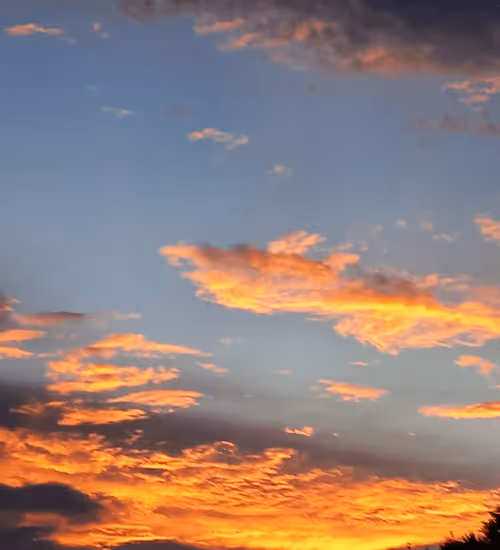 Item #39544686461479766536883784238080707397885172428163191958670928131965671440385 Media