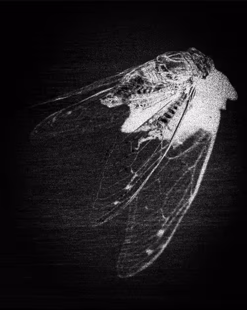 Item #113693328873351964272418761095266344949241101728224431866017542500899987914753 Media