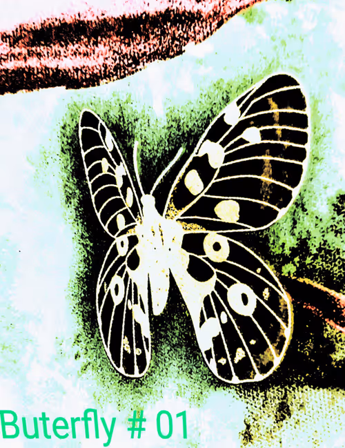 Item #88361313623367821169385109995691991430035234120960623439170725901490517442561 Media