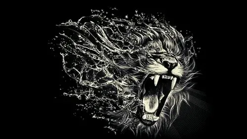 Item #95192195908434667897806557608534660479044493889968221946768649615030467166308 Media