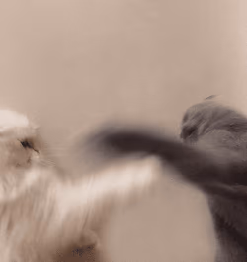 Item #71751047679511305985011817054352364605504148284906352718983005690249334489089 Media