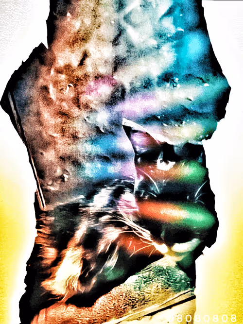 Item #79960430426561695494080117896553478252784794469094828787665606369571424438432 Media