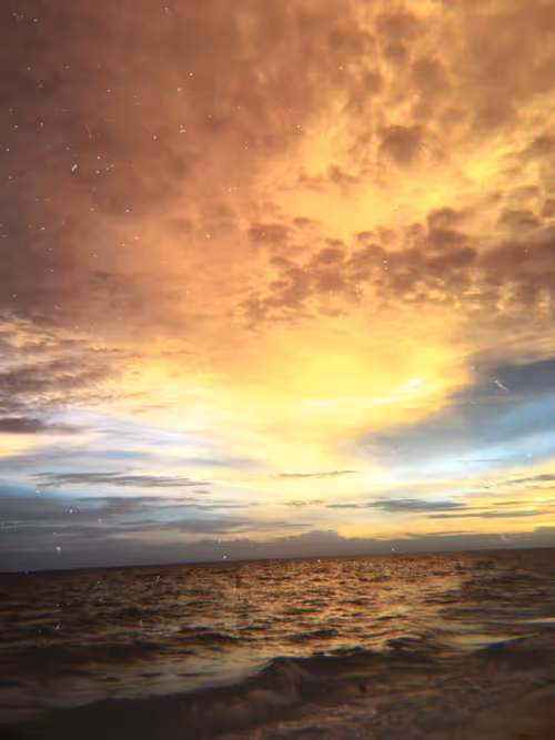 Item #19969189694170758590771489462771630639890236597170204499353164458522421755905 Media