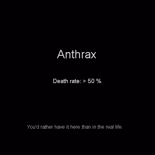 Item #81808085032476359797455255547863298923837726005960725874573045531025914987496 Media