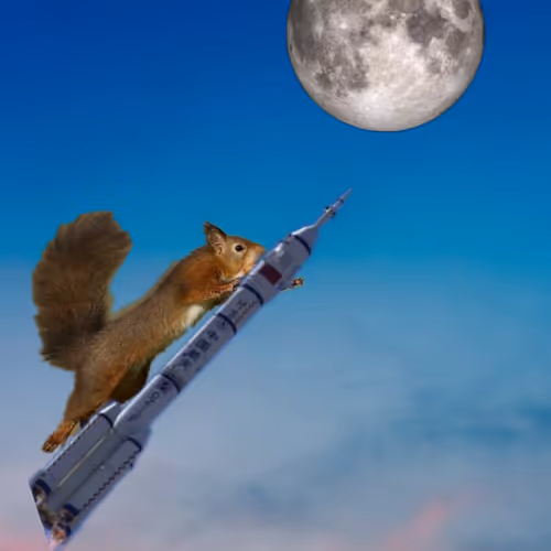 Untitled Collection #188738125