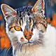 49458987243007686951988076405831250135445128320616238763335235122381822361601