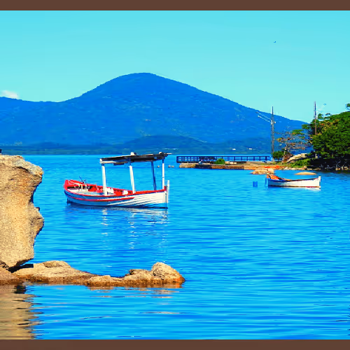 Item #42655069450279595702778439768559423805970000241868820674688539736966996951041 Media