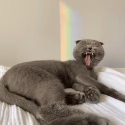 oooaaawr!