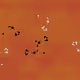 82900401874633431151014209344910741782704811460310007703577746730968483364865