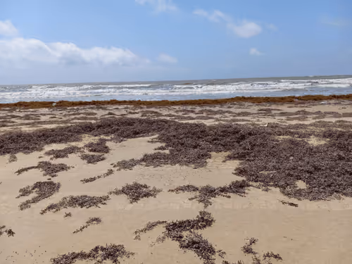 Item #36878996293003159420530988680394500714376917904275382563215545655109491884132 Media